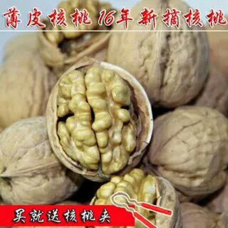 薄皮核桃去皮干