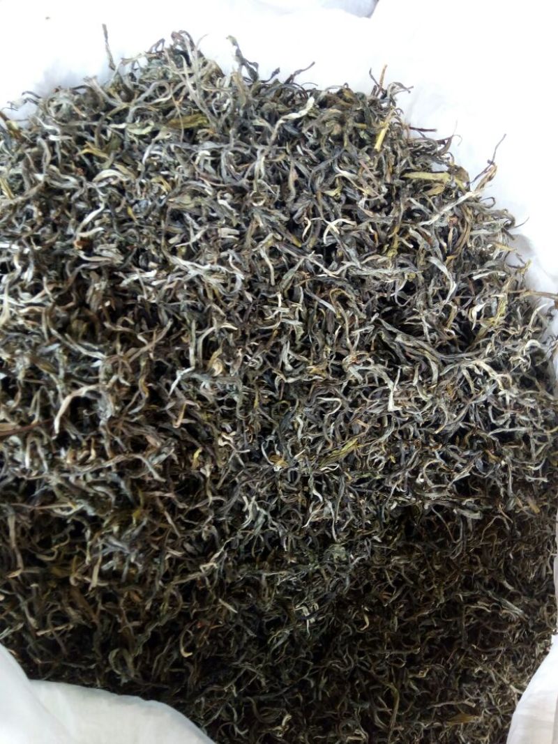 古树普洱茶特级
