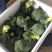 西兰花云南精品货质好，货量大诚信为本信誉至上