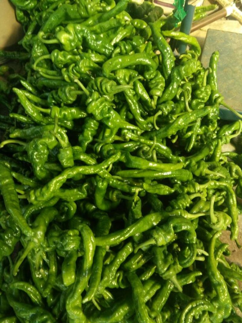 螺丝椒