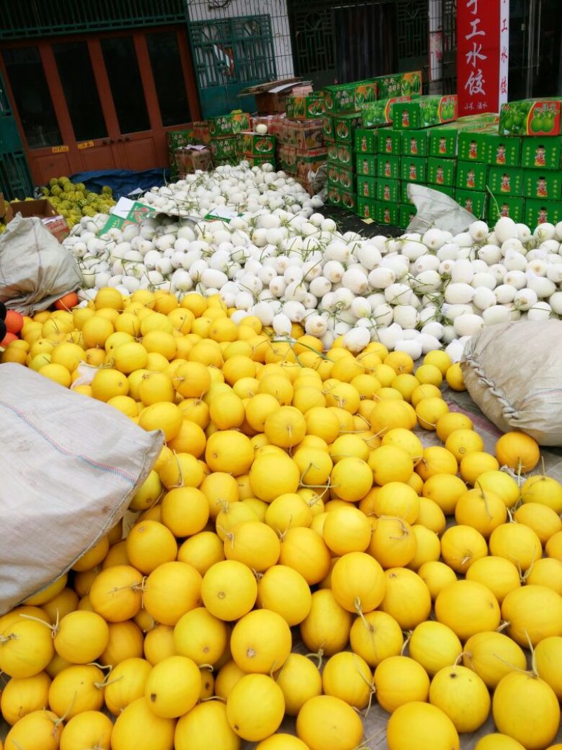 瑞红，久红瑞精品中国甜瓜香瓜哈密瓜基地产地直销