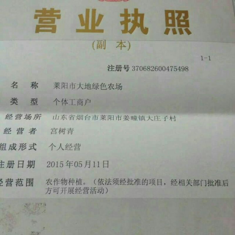 秋月梨450~500g纸箱