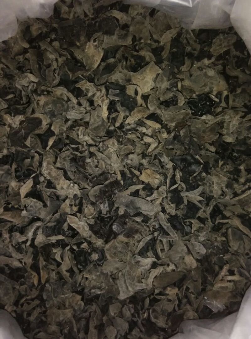 黑木耳一级
