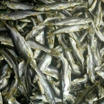 餐条鱼干