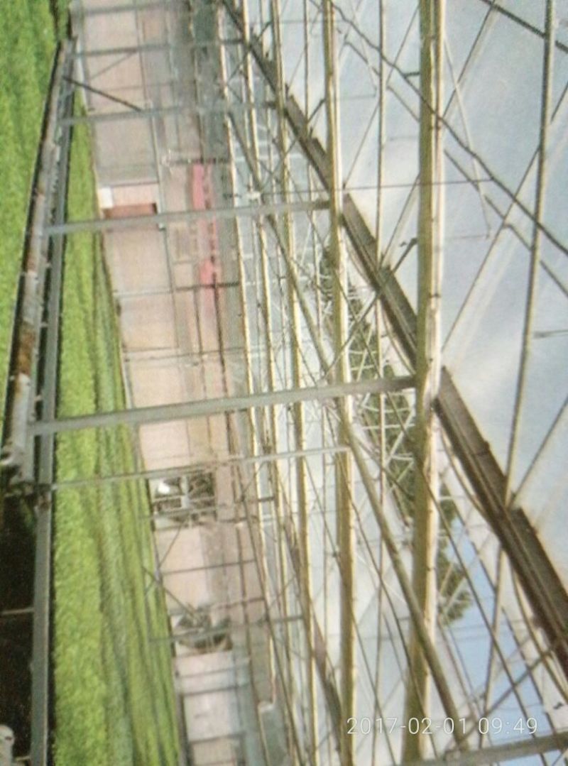温室大棚连栋温室建造，设计规划及农产品种植技术。