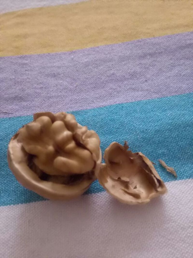 薄皮核桃去皮干