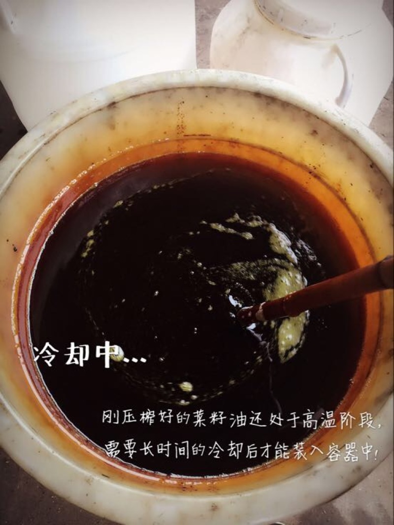 菜油
