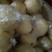早酥梨450~500g纸加膜