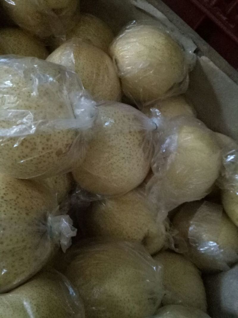 早酥梨450~500g纸加膜