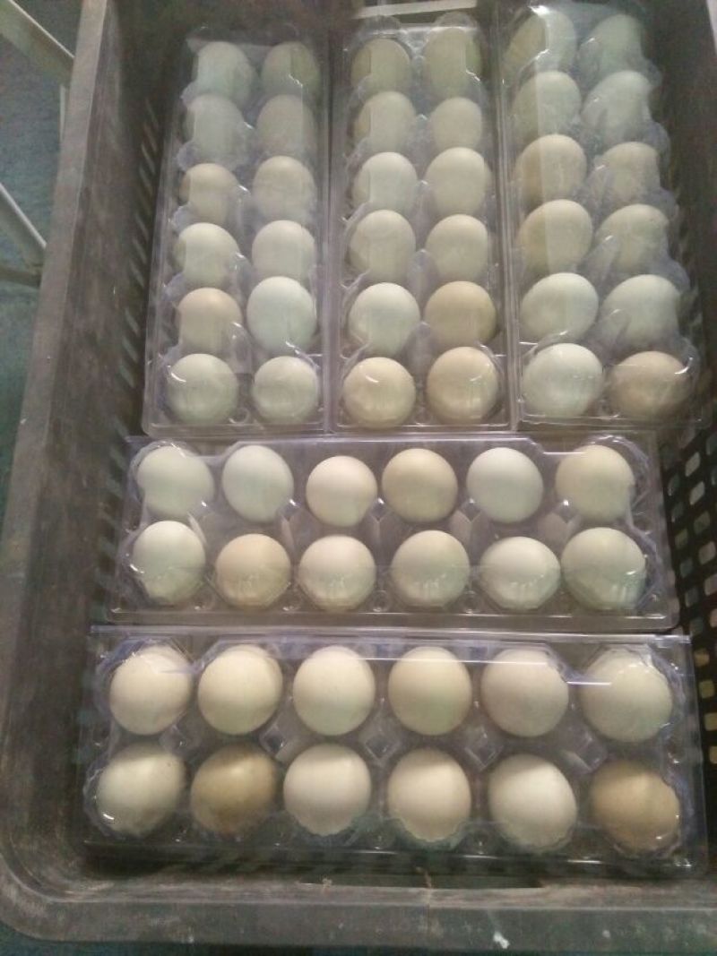 绿壳鸡蛋食用50g以下