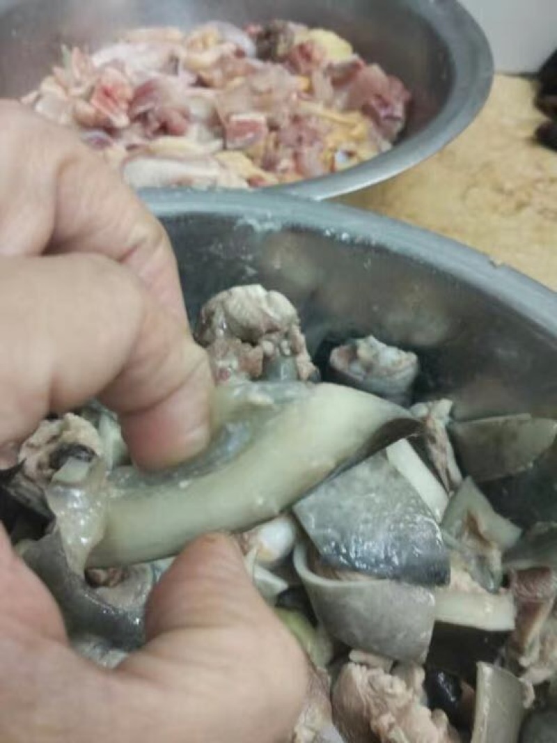 黄沙鳖