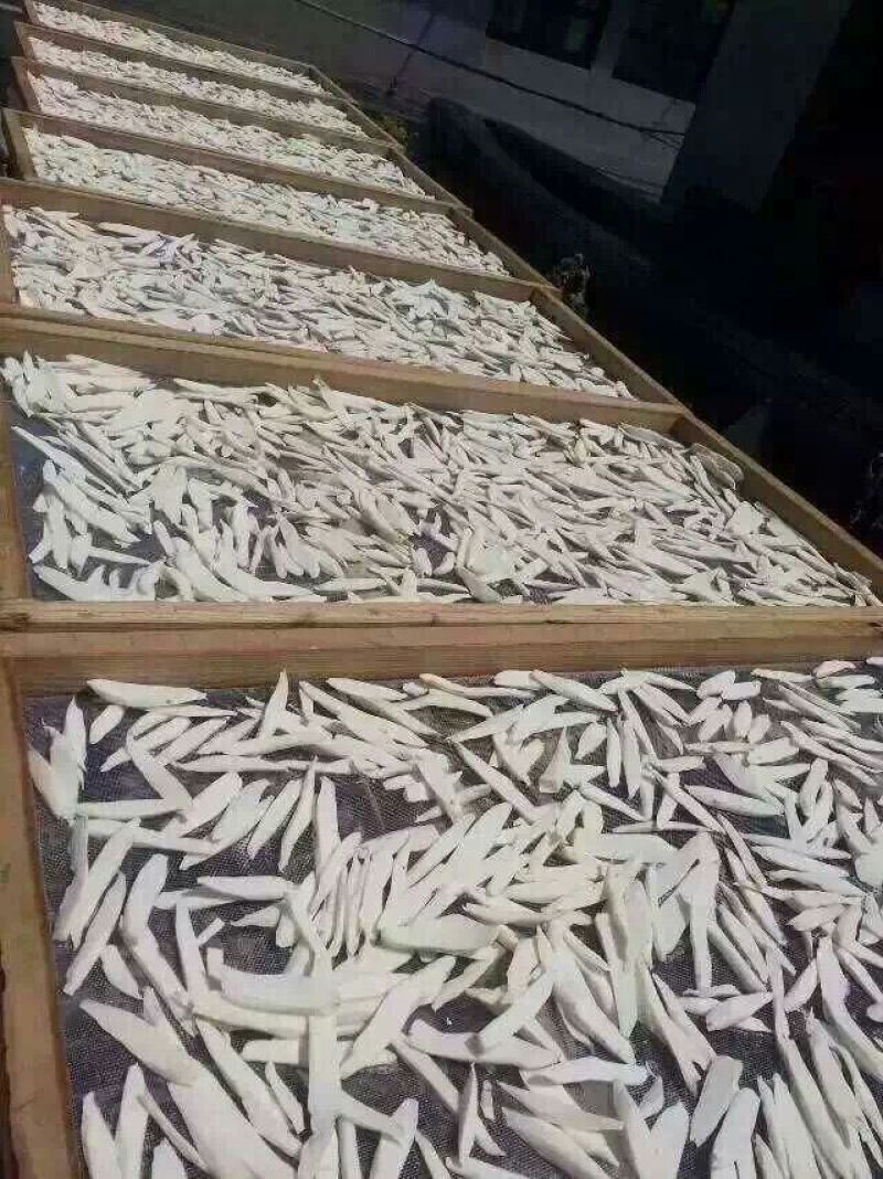 铁棍山药片