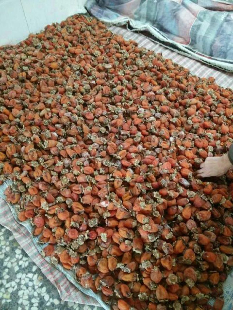 柿饼1两以下