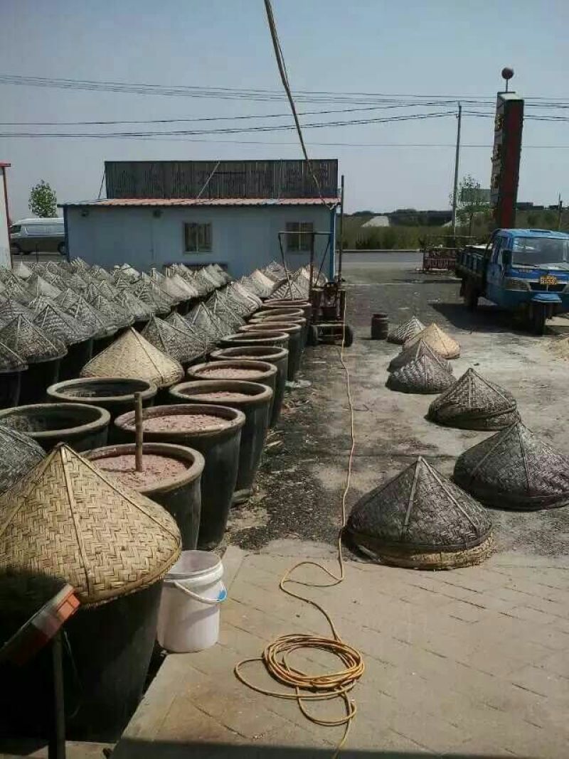 好吃不贵，经济实惠，渤海湾虾酱