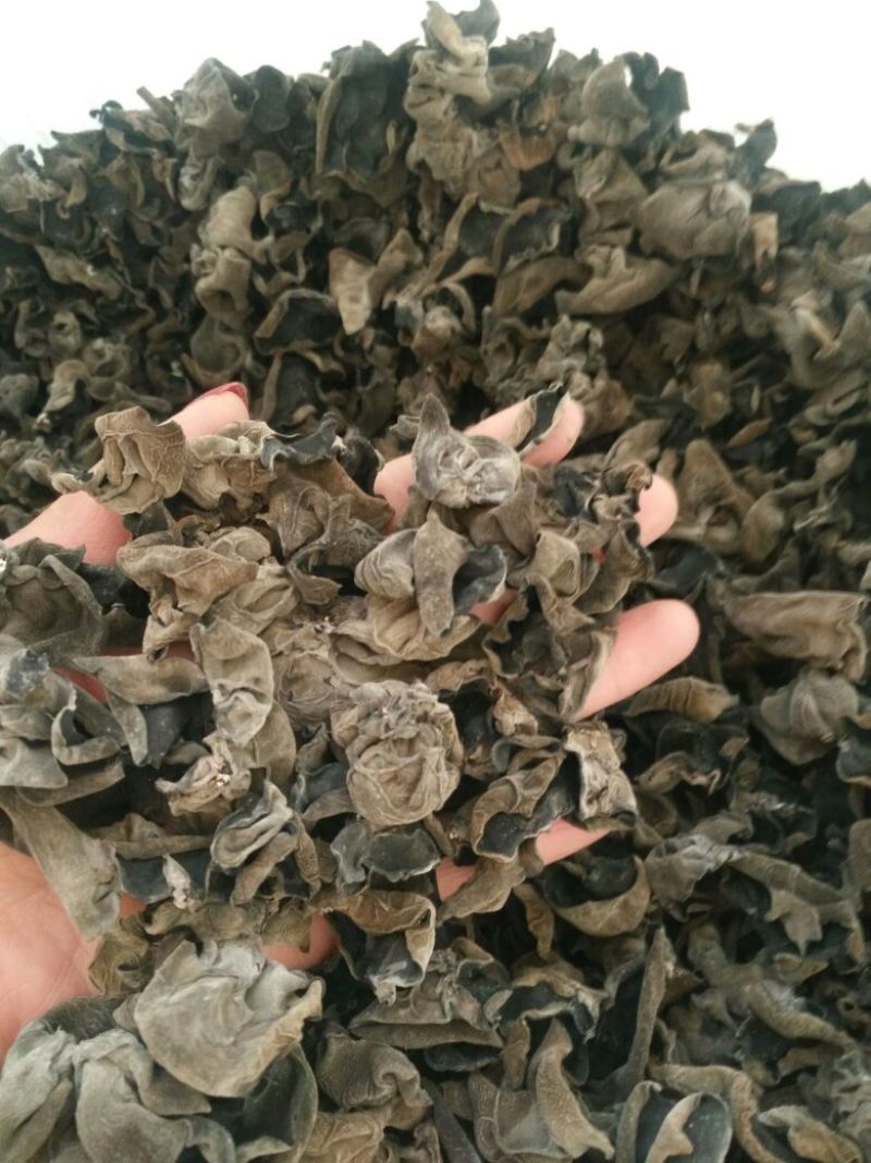 干木耳一级
