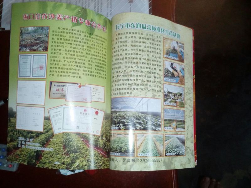 沙姜袋装