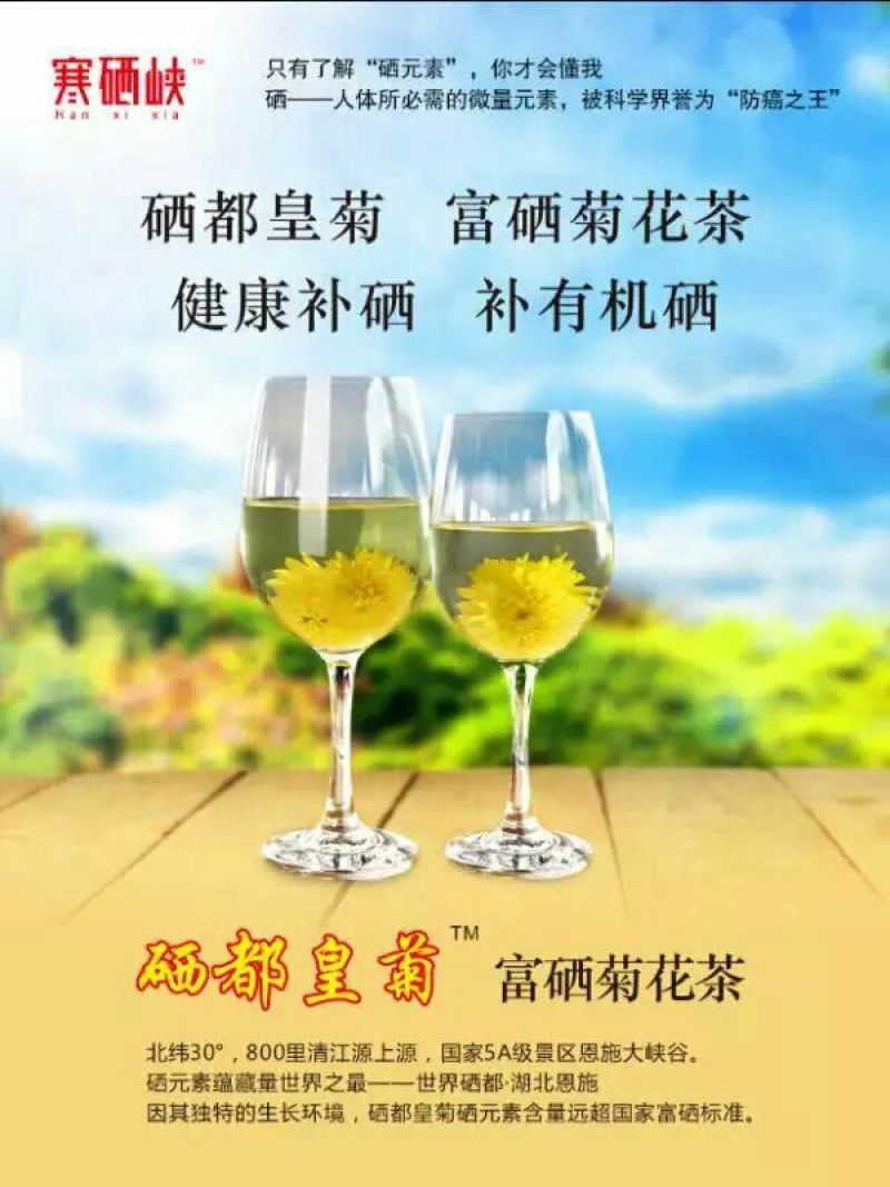 皇菊茶一级