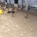 土鸡蛋