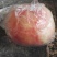 桃王80mm以上膜袋