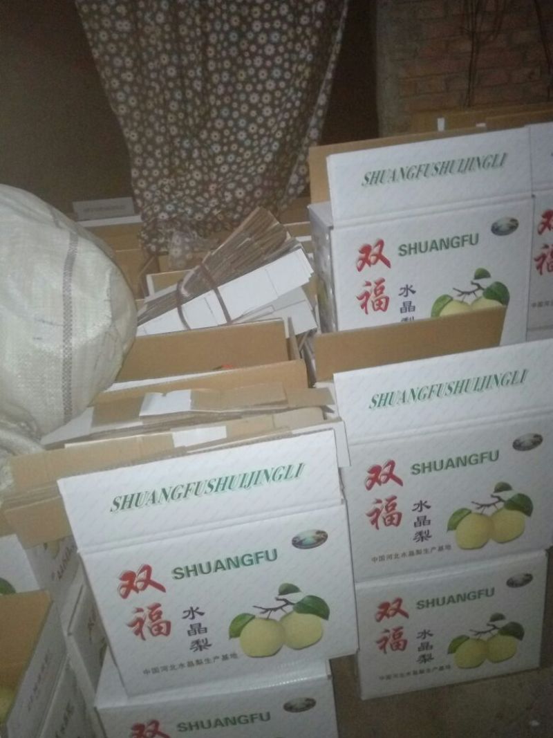雪花梨200~250g纸袋