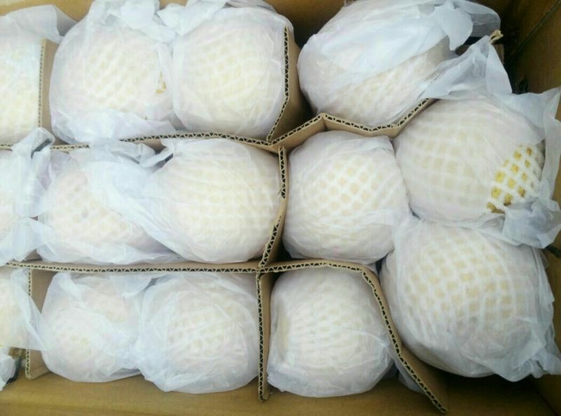 雪花梨400~450g纸箱
