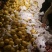 雪花梨350~400g纸袋