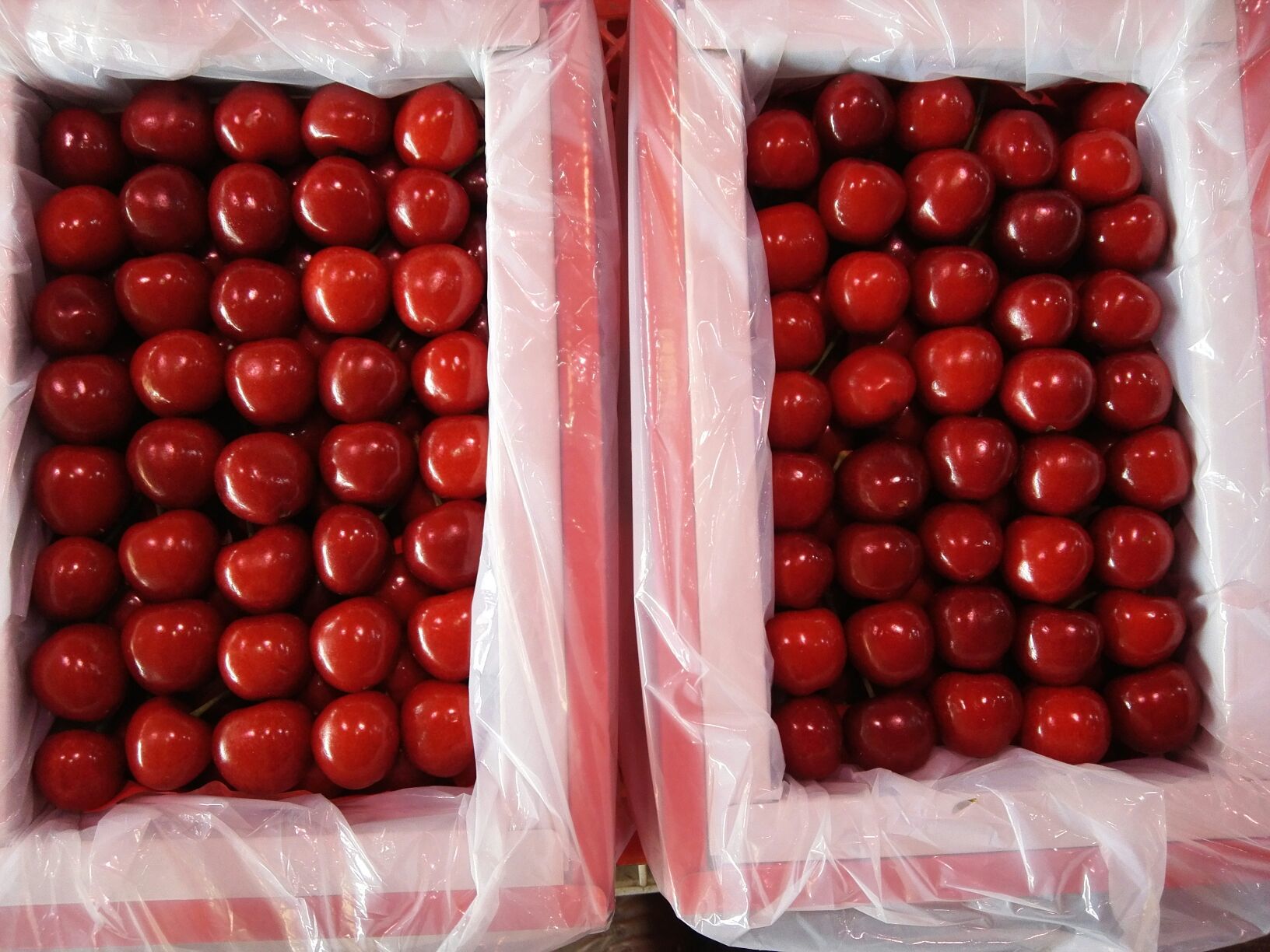 车厘子广东广州市白云区_批发_供应-一亩田农