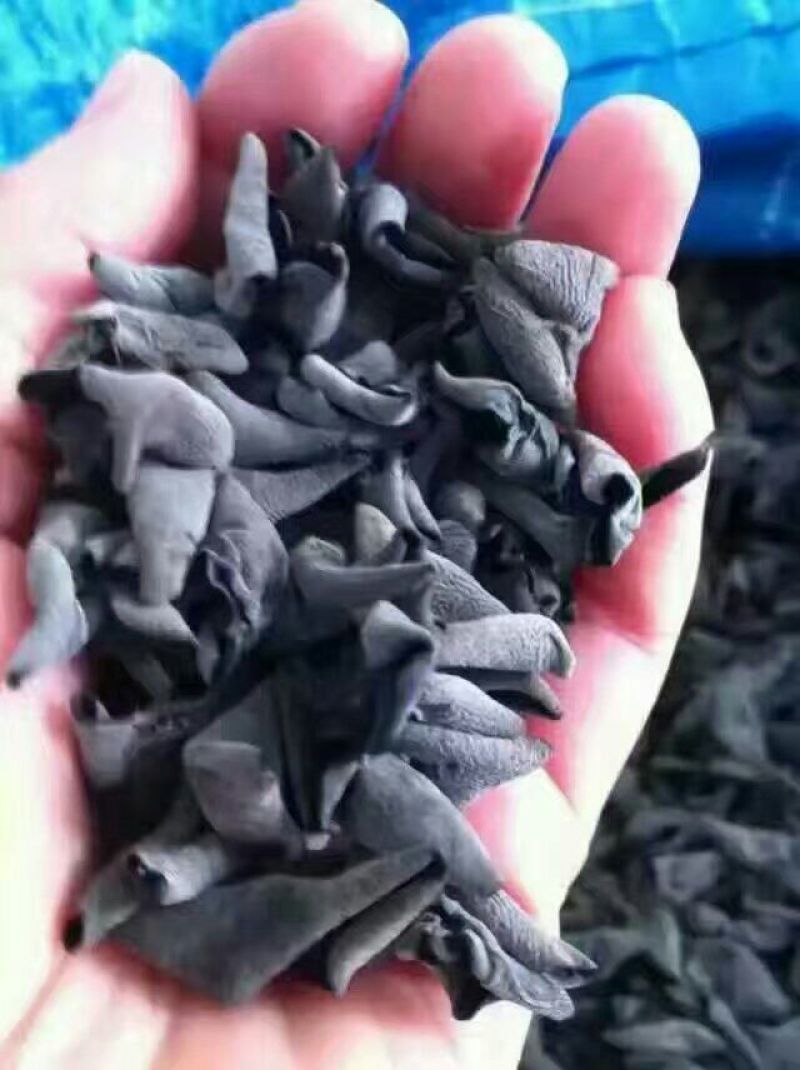 黑山秋耳一级
