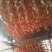 柿饼1~2两