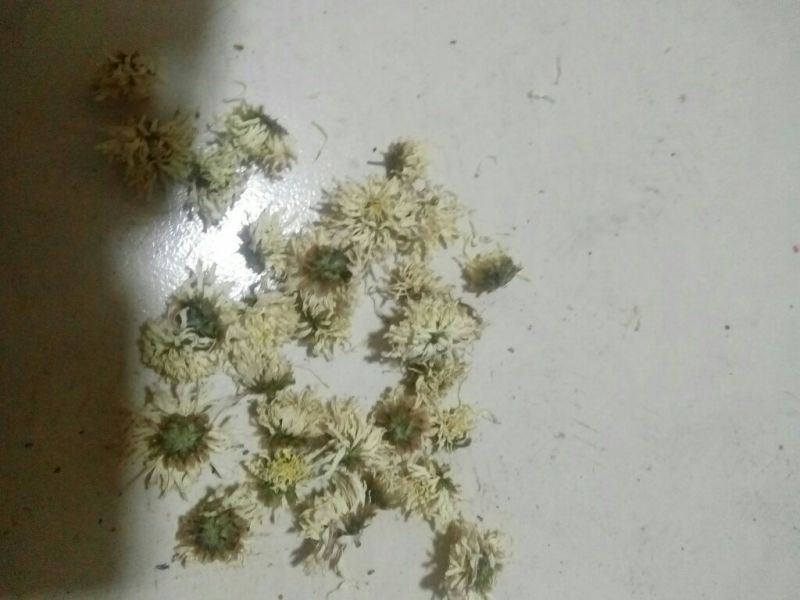 杭白菊散装
