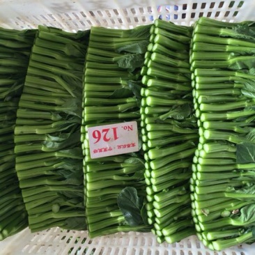 蔬菜
