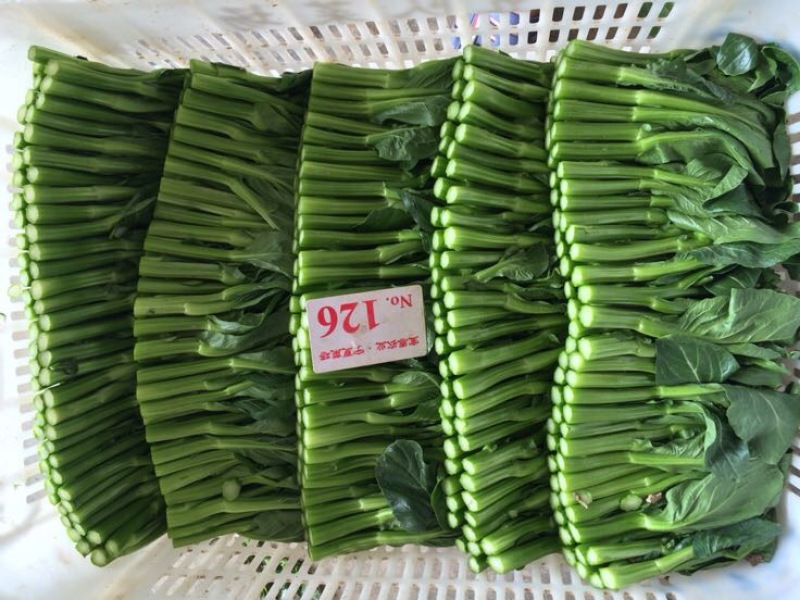 蔬菜
