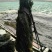 霞浦海带