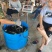锦鲤