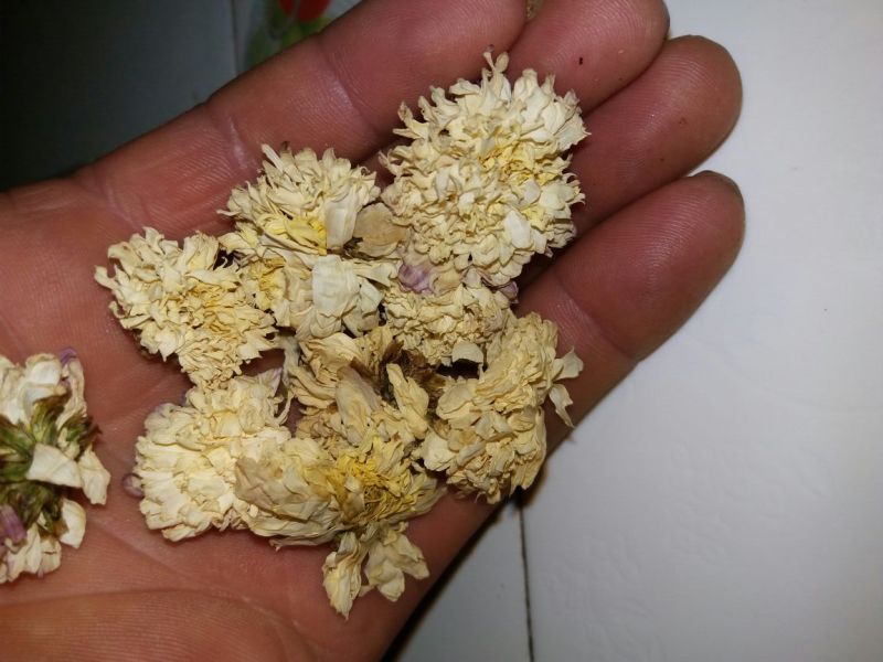 怀菊花袋装