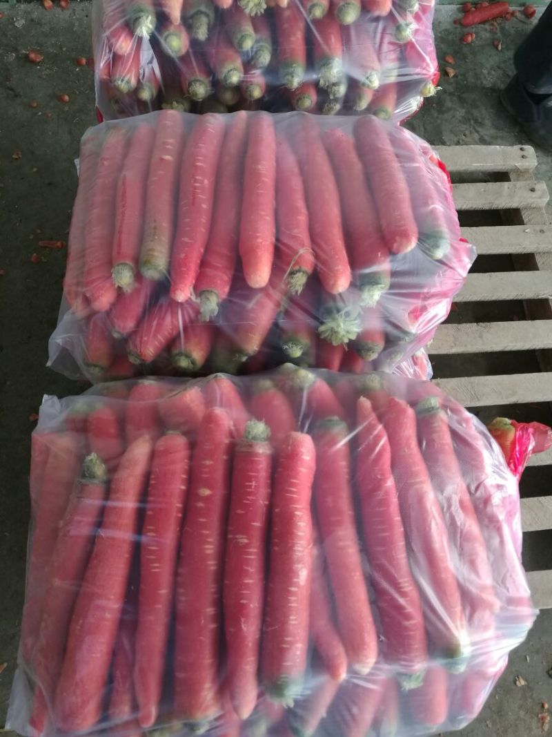 胡萝卜红3两以上10厘米以上水洗量大从优质量保证