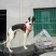 格力犬全活猎兔犬，惠比特，格惠，逮兔狗，全国包邮