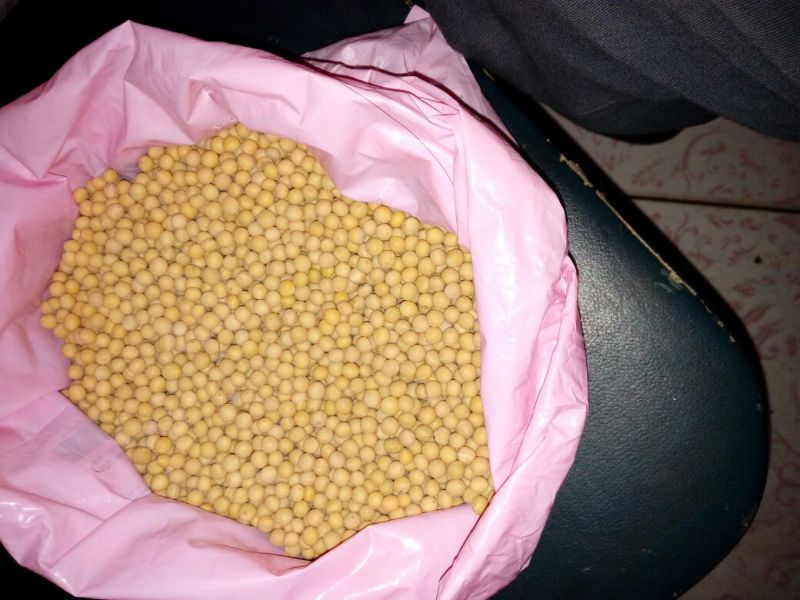 芽豆食用