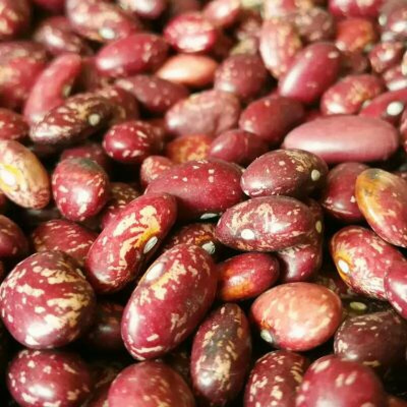 红豆散装