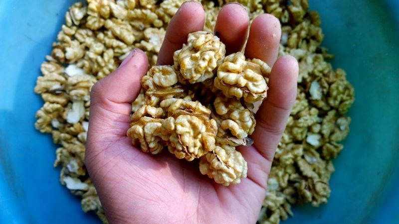 鲜核桃仁原味