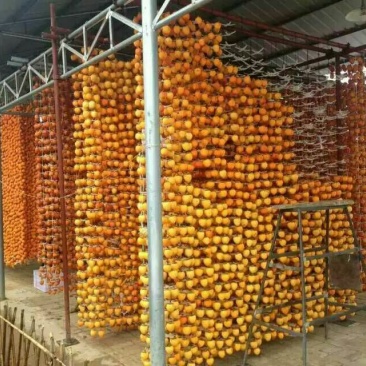 柿饼1~2两