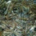 河虾活虾16~20只/kg