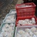 山东冠县水果基地丰水梨纸袋300~350g