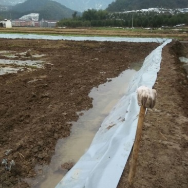 地膜