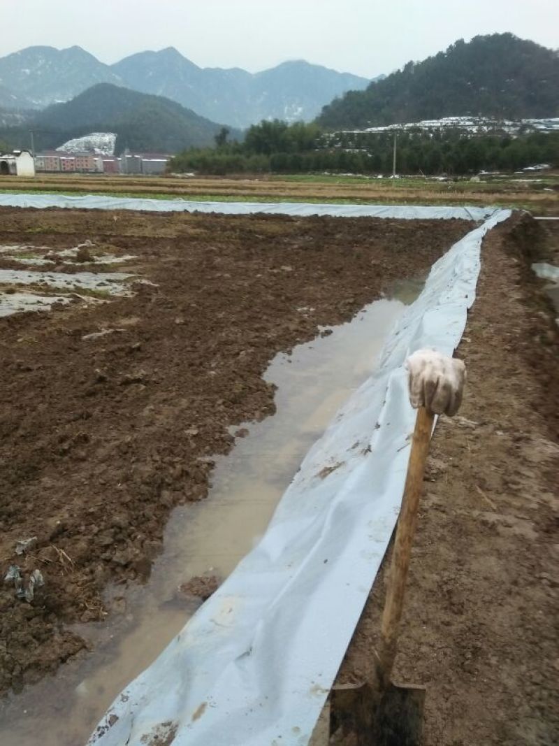 地膜