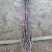 苹果树2cm以下2~4cm4~6cm4cm以下4~