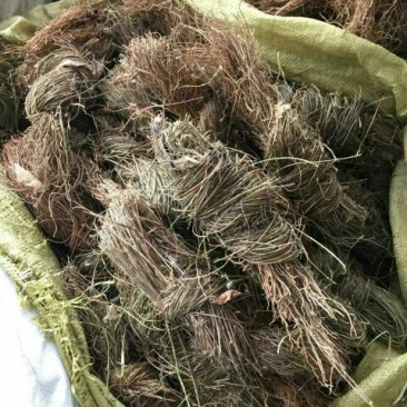 徐长卿