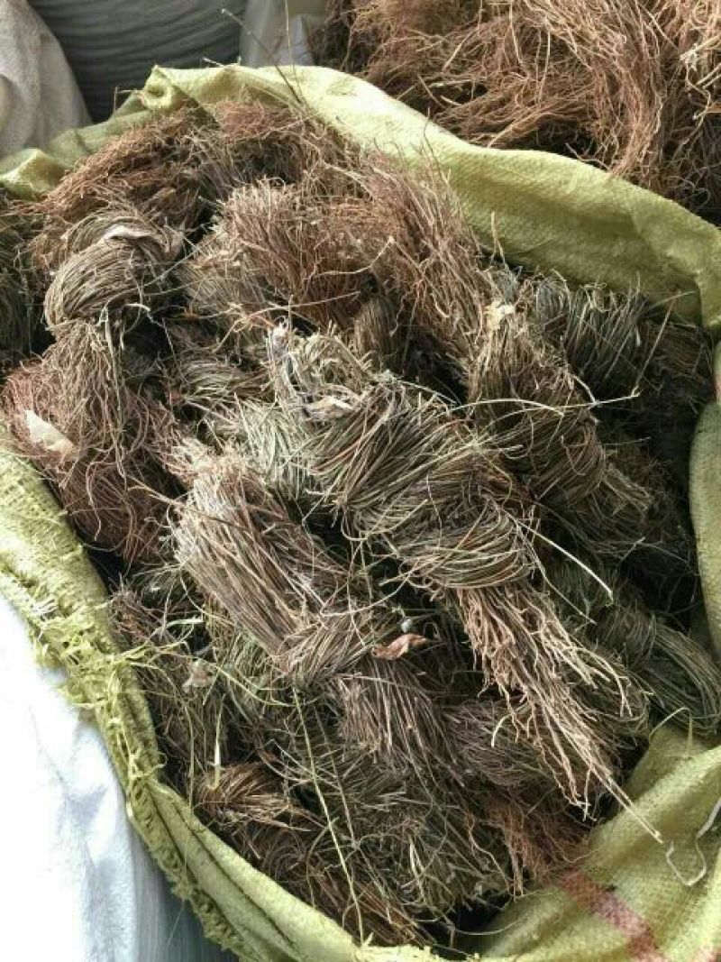 徐长卿