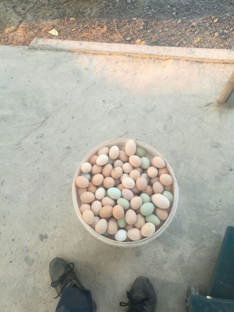 土鸡蛋食用50g以下
