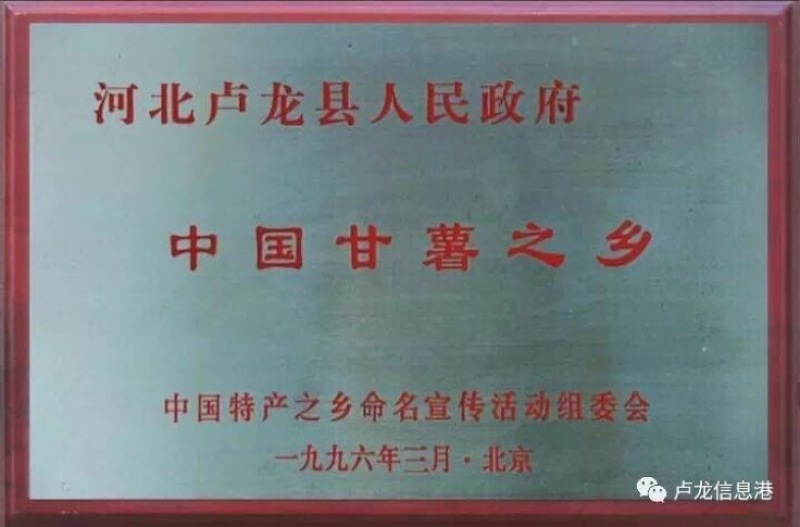 红薯粉丝